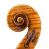 studiol569